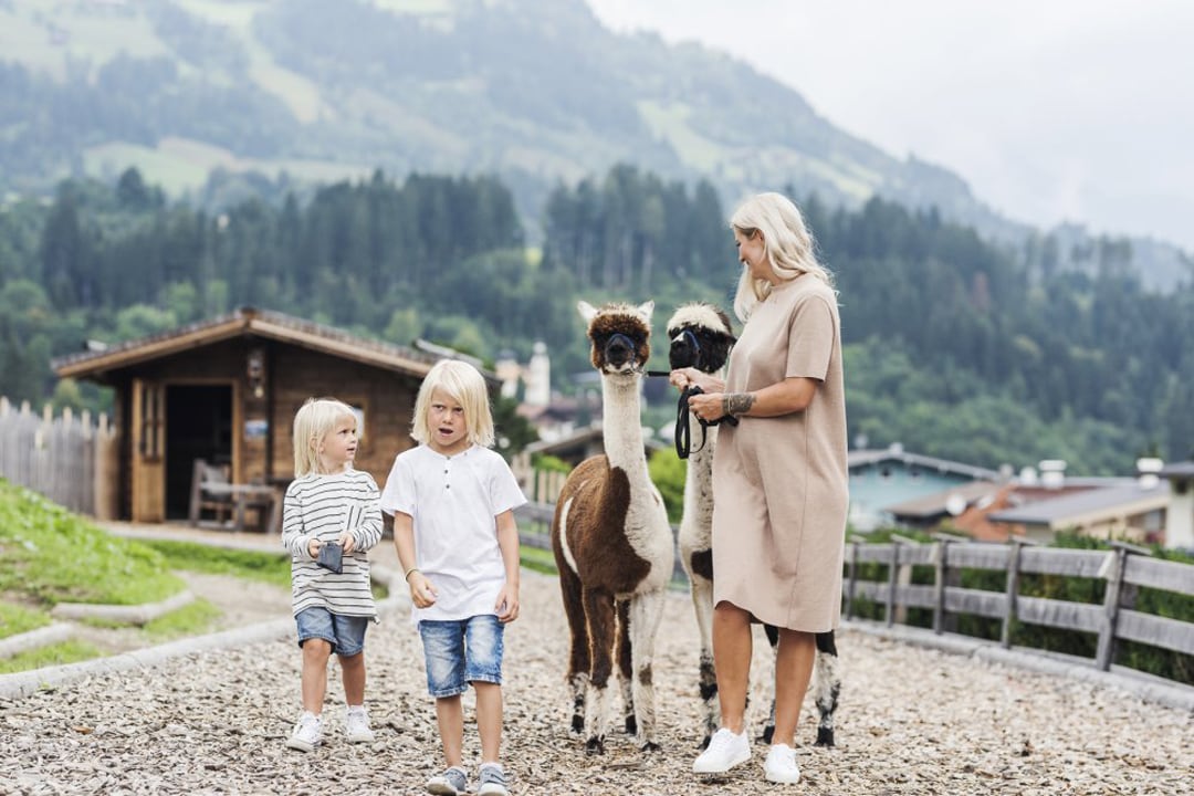 Mia Alpina, Alpaka