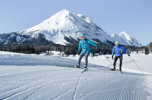 dasMAX, Cross country skier in front of mountain