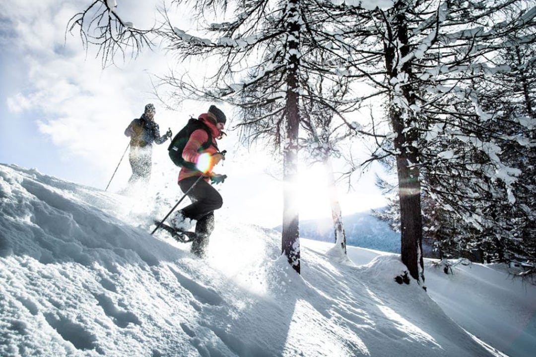 dasMAX, Skifahrer im Wald