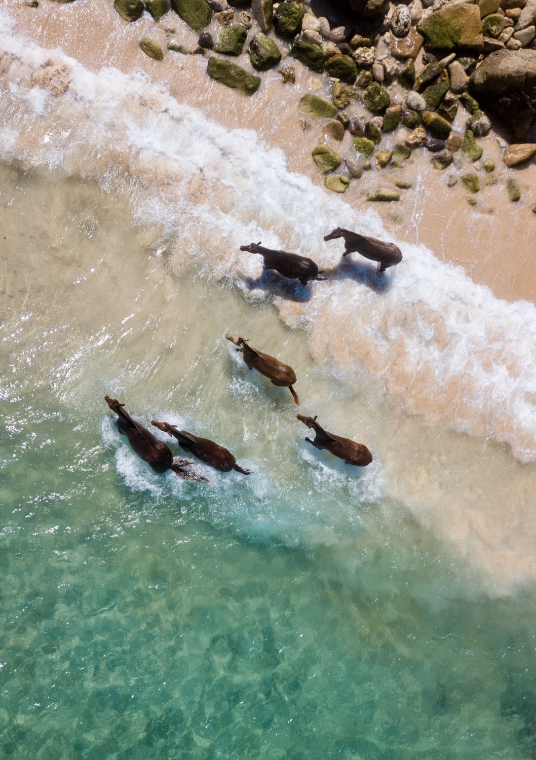 NIHI Sumba - Strand