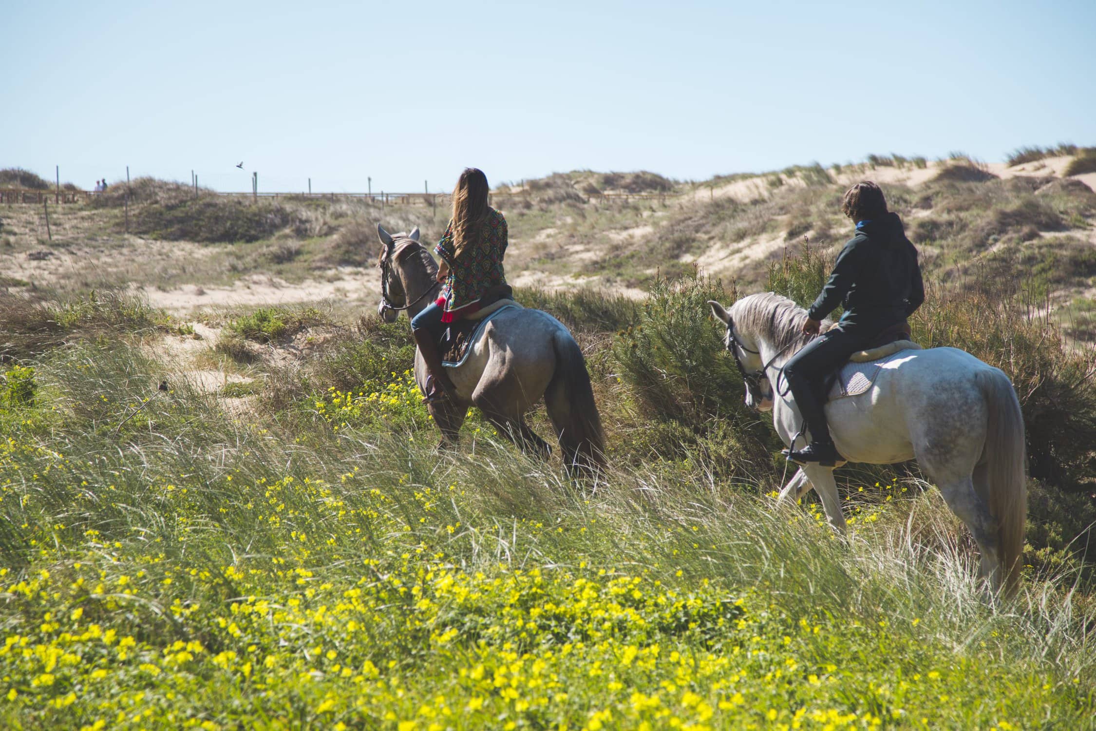 The Oitavos - horse riding