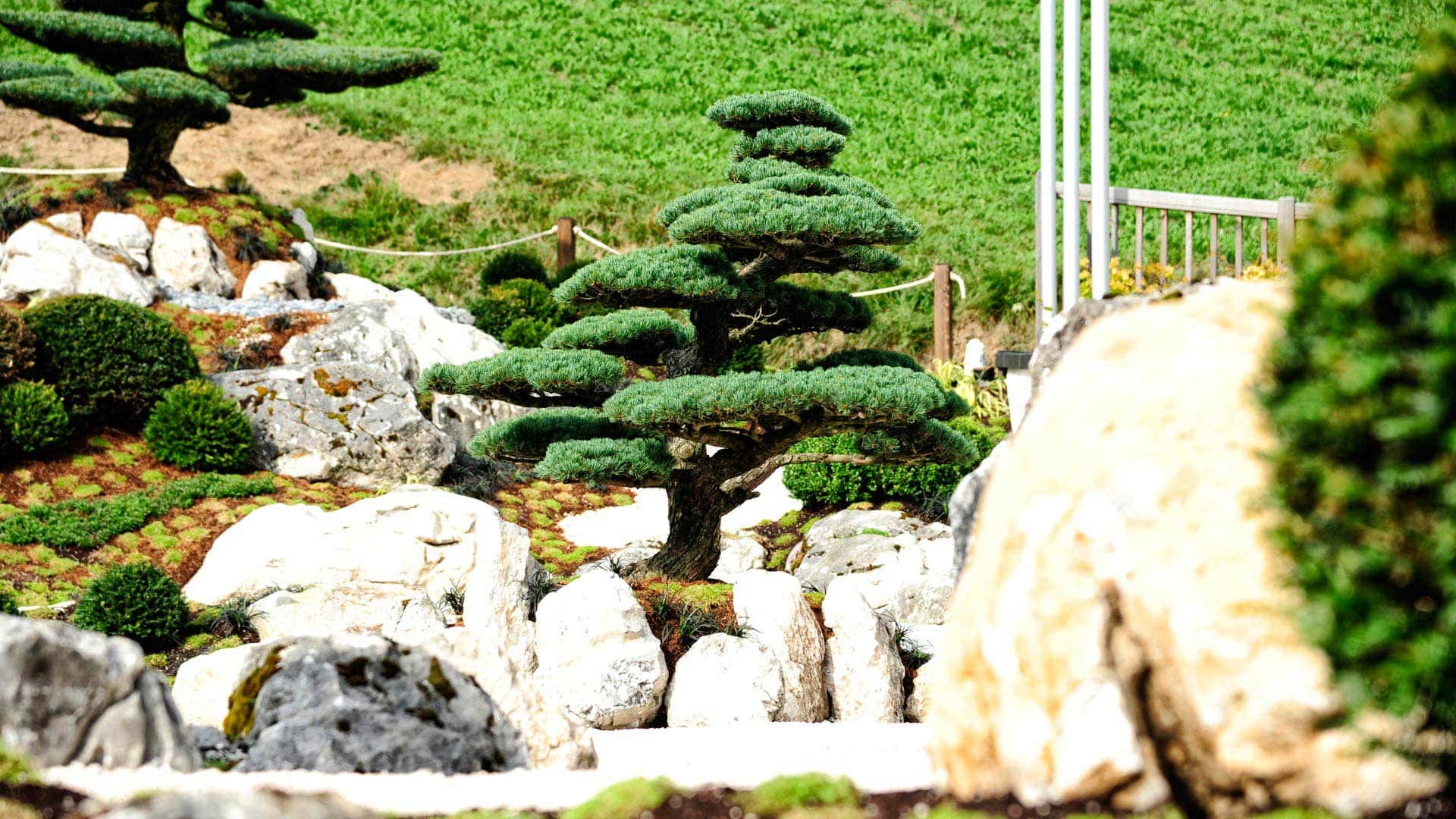 Alps Lodge Zen Garten