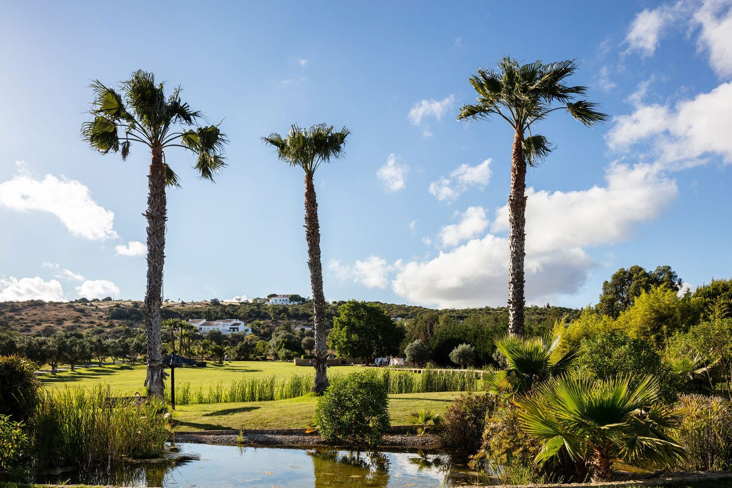 Vila Valverde - Garden