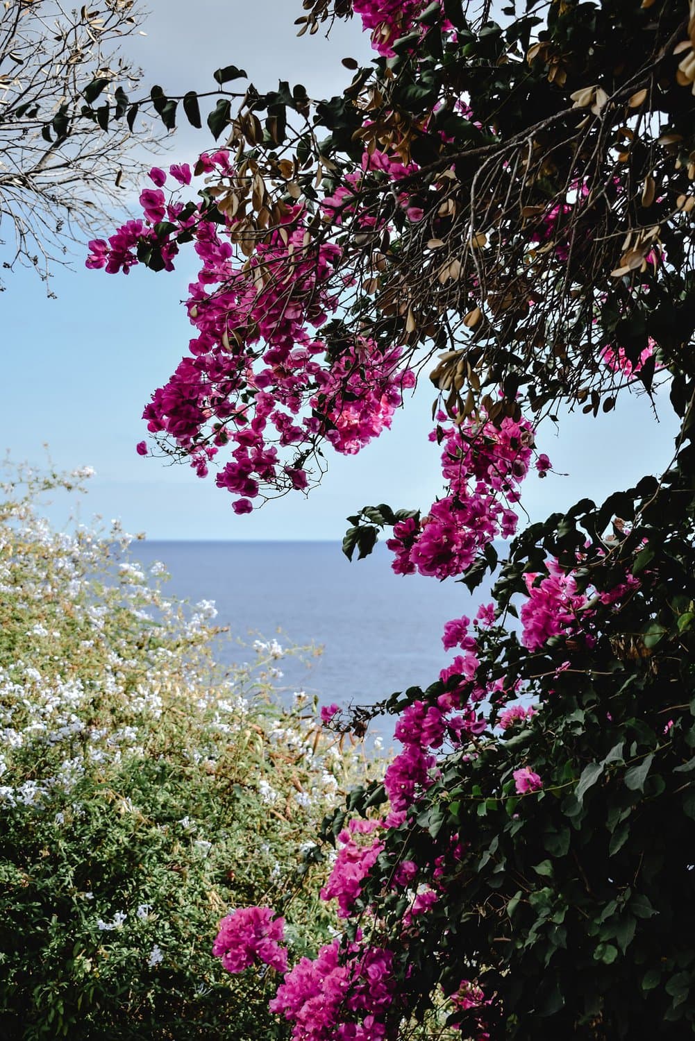 Quinta da Bela Vista - Madeira