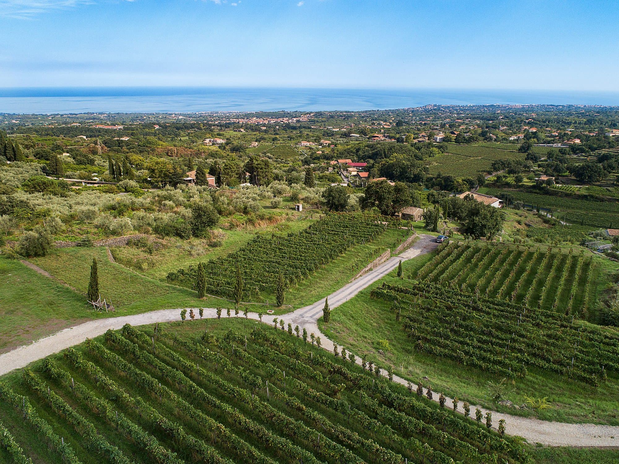 MonacidelleTerreNere - Weinberge